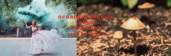 прущий лед Алексин