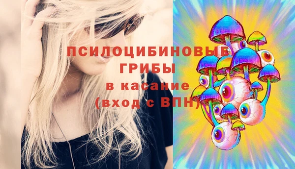 дурь Алексеевка