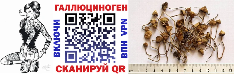 Псилоцибиновые грибы прущие грибы  дарк нет Telegram  Дивногорск 