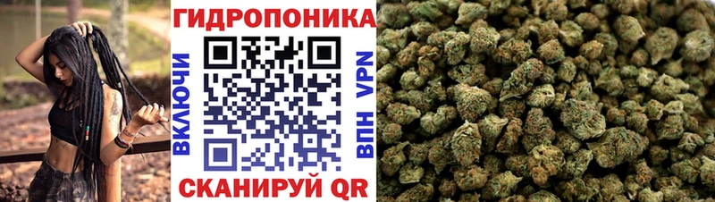 Каннабис тримм Дивногорск